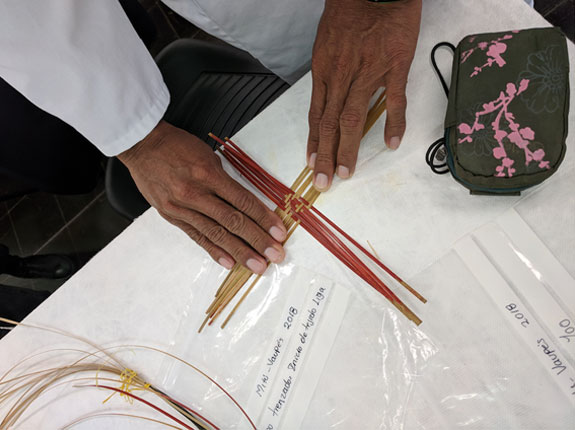 Article Image: Hands of a knowledge holder from Mitú, Columbia, introducing basketry materials and manufacturing techniques to inform future conservation treatments. Photo: Diana Gabler, 2018.