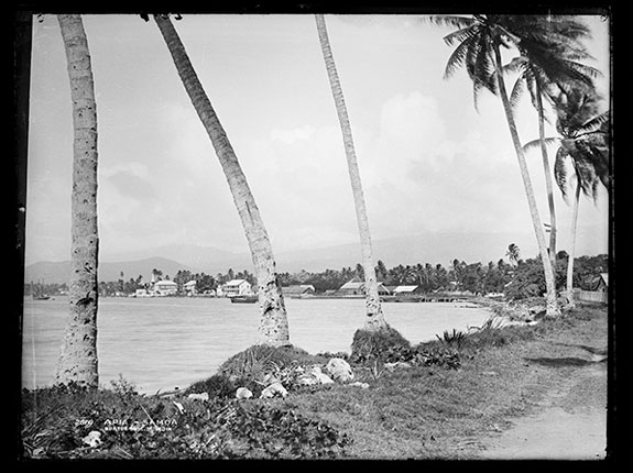 Article Image: Apia, Samoa, July 1884, New Zealand. Photo: Alfred Burton, Burton Brothers studio. Purchased 1943, Te Papa (C.016550).